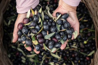 Marmarabirlik 2025’te rekor kırdı: 68 ülkede 20 bin noktada satış!