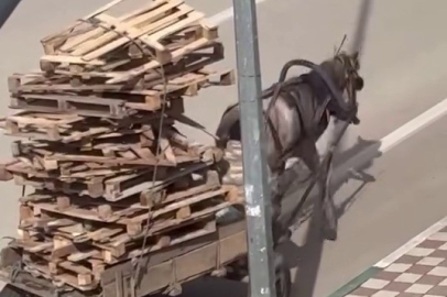 Bursa’da at arabasına yüklenen aşırı yük tepki çekti