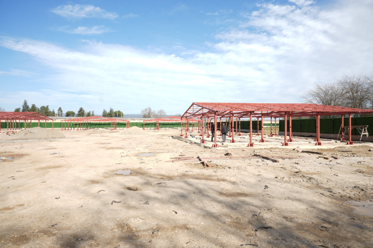 Bursa Yenişehir’e dev hayvan bakımevi geliyor: Açılış ne zaman? - Bursa Hayat Gazetesi-3