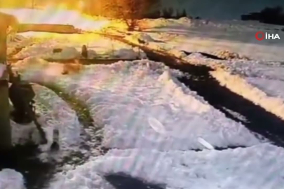 Bahçesine giren kurtları kürekle uzaklaştırdı!