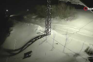 Vaşak yerleşim alanına indi, çevreyi izlerken kayıtlara geçti