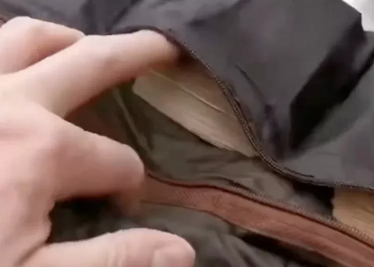 Sınırda milyonluk para yakalandı: 18 milyon TL’lik para gümrüğe takıldı!-Bursa Hayat-3