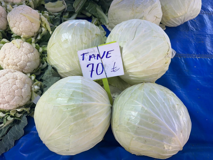 Bursa çiftçisi tarlada kalan lahana için destek bekliyor!-Bursa Hayat-2