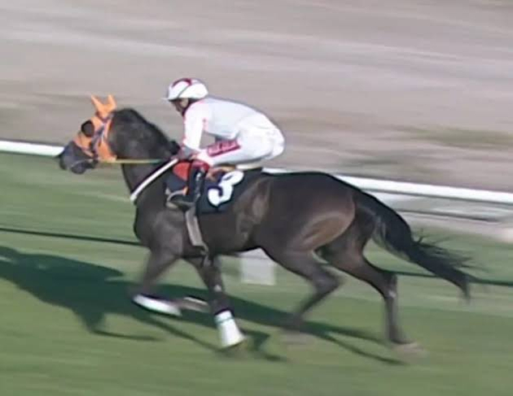 Kavurma skandalı Mersin’i sarsıyor! Vahap Seçer açıklama yaptı-Bursa Hayat-2