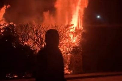 Bursa’da parkta ateşe verilen ağaç alevlere teslim oldu