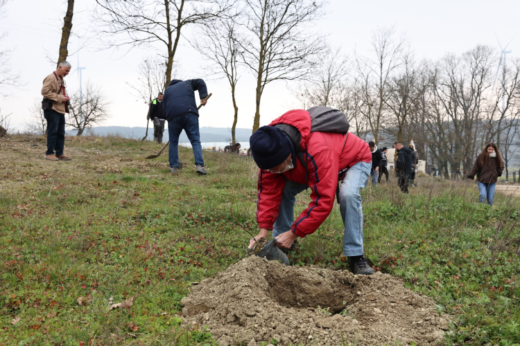 Nilüfer’de 225 fidanla “Umut Ormanı” kuruldu - Bursa Hayat Gazetesi-2