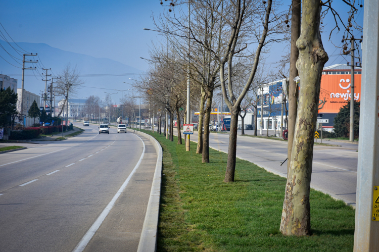 Bursa’nın bulvarları yeşil dokunuşlarla yenileniyor!-Bursa Hayat-4