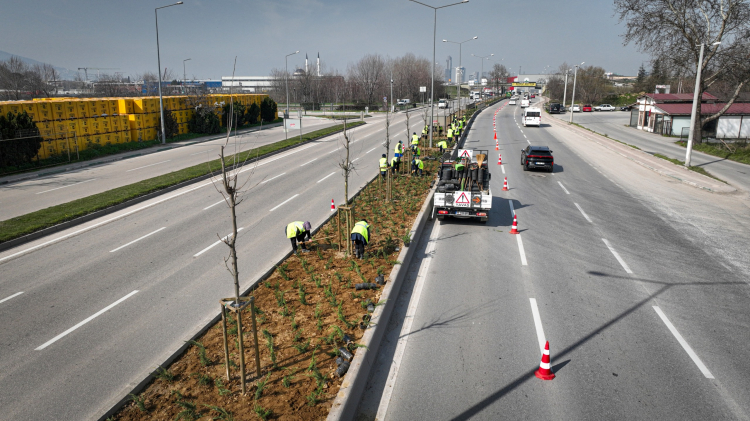 Bursa’nın bulvarları yeşil dokunuşlarla yenileniyor!-Bursa Hayat-3