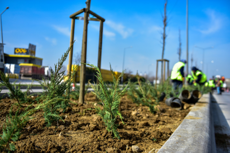 Bursa’nın bulvarları yeşil dokunuşlarla yenileniyor!-Bursa Hayat-2
