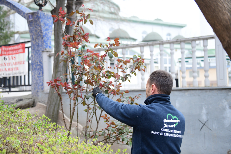 Kestel Belediyesi camilerde bayrama hazırlık çalışmalarını yoğunlaştırdı-Bursa Hayat-2