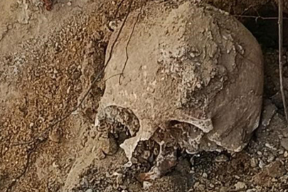 Bahçe düzenlemesi yaparken kafatasıyla karşılaştı: Polis inceleme başlattı