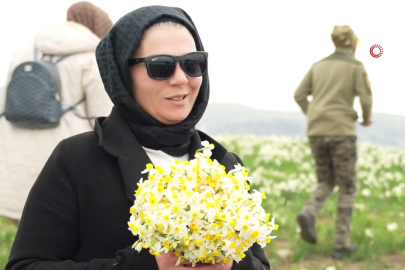 Doğanın büyüsü! Üçkaya Köyü nergislerle renklendi
