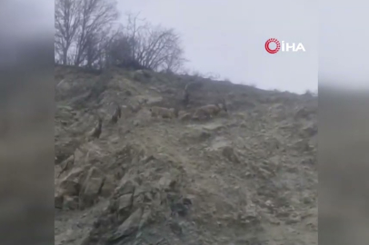 Kaçak avcılar dikkat! Çüngüş’te dağ keçileri kamerada…