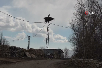 Sivas’ta leylekler baharı müjdeledi!