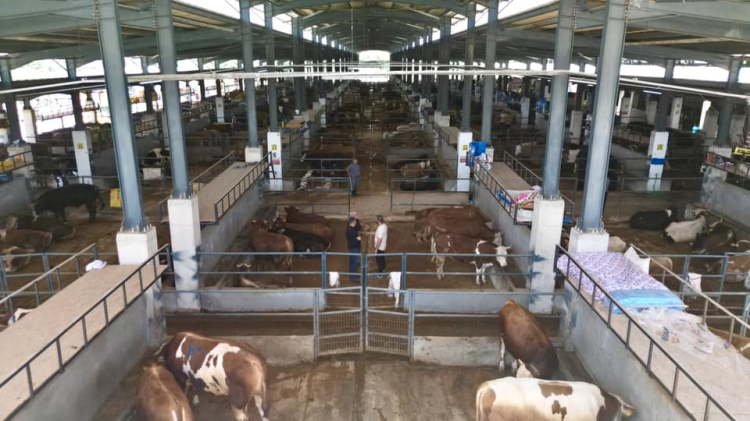 İnegöl Belediyesi hayvan pazarı kotra ihalesi tarihini açıkladı!-Bursa Hayat-2