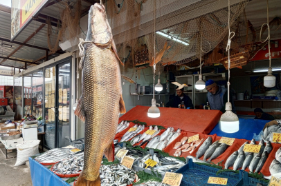 Malatya’da dev turna balığı tezgahta ilgi odağı oldu