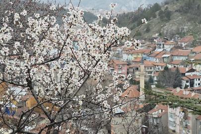 Kütahya’da doğa canlandı!