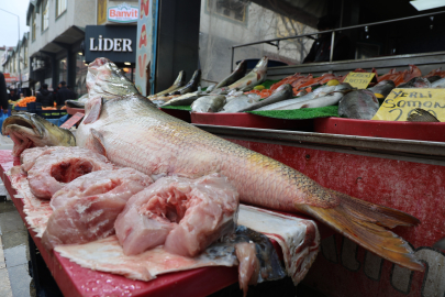 Elazığ'da dev turna yakalandı