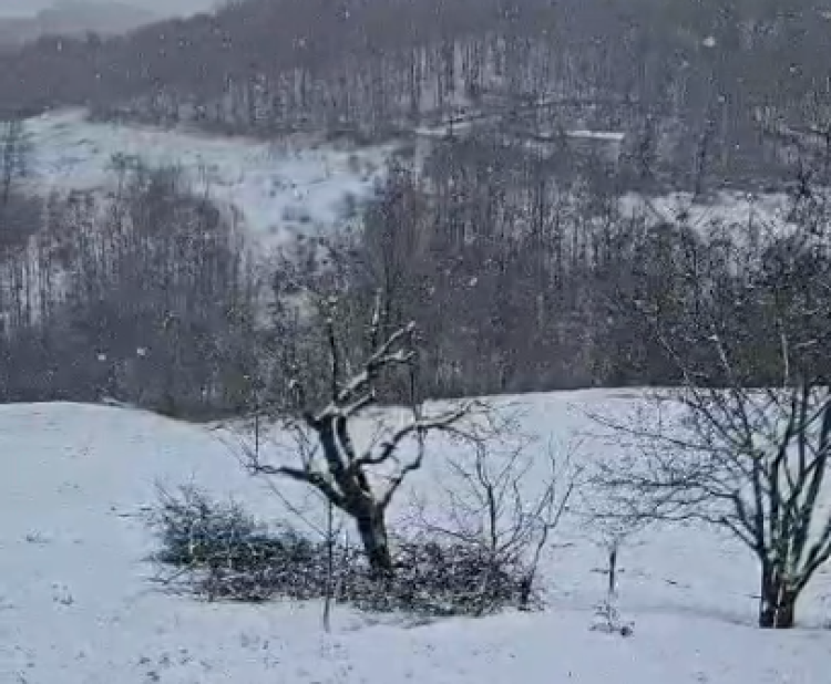 Bursa İznik’te kar yağışı! Yüksek kesimler beyaza büründü -Bursa Hayat-2