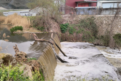 Gemlik Körfezi için kritik sorun!