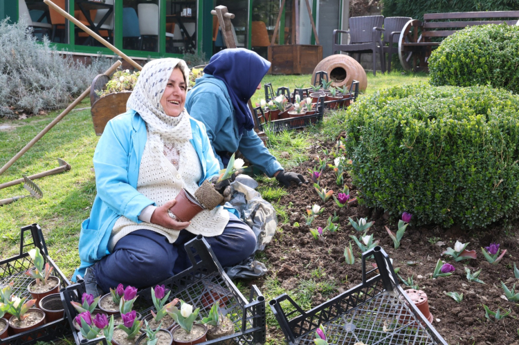 Osmangazi’de bahar renklerle geliyor: Parklar ve meydanlar çiçek açtı!-Bursa Hayat-3