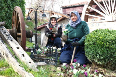Osmangazi’de bahar renklerle geliyor: Parklar ve meydanlar çiçek açtı!