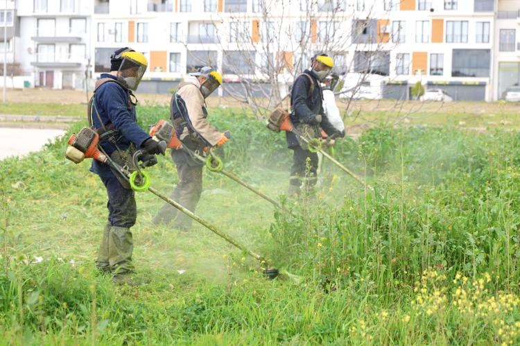 Osmangazi’de bahar bakımı! Sezon boyunca sürecek -Bursa Hayat-2