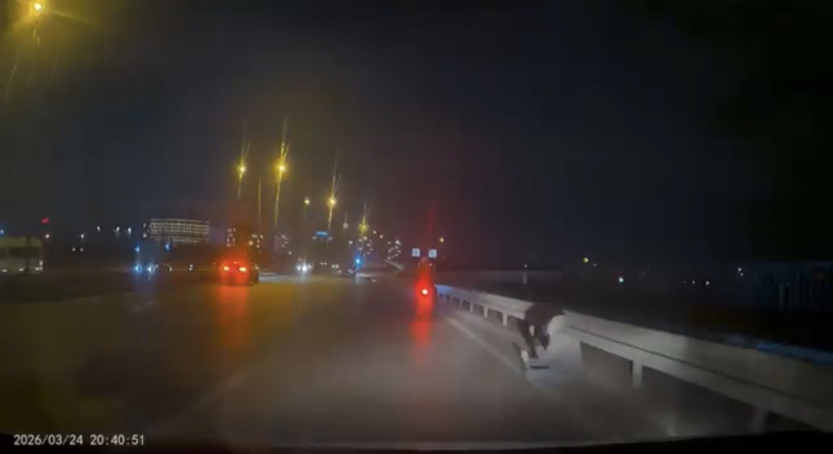 Bursa’da motosiklet kazası! Korku dolu anlar kamerada -Bursa Hayat-2