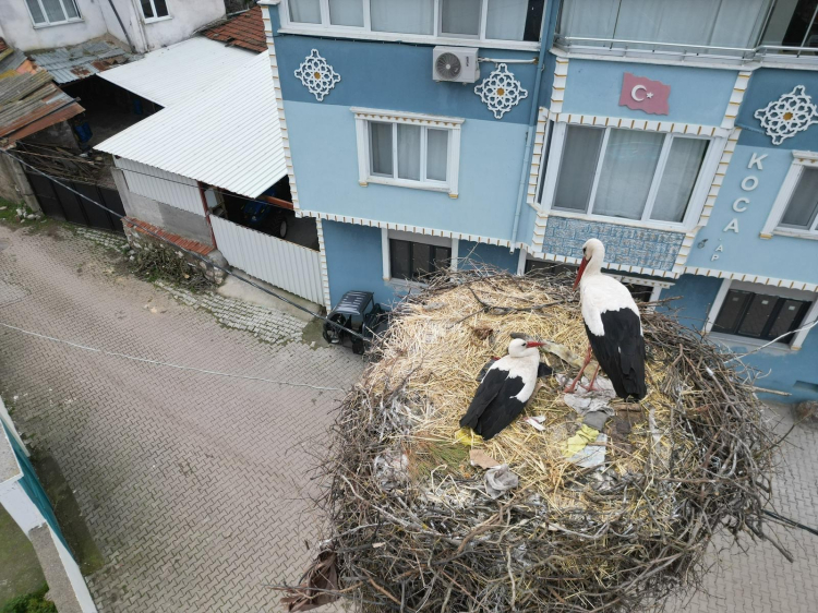 Bursa’da Yaren leylek ve eşi, ziyaretçilerin ilgi merkezi oldu!-Bursa Hayat-2
