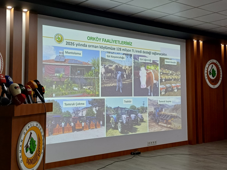 Bursa'da 2025 zorlu geçti: Yangınlara karşı önlemler ve yeni yatırımlar - Bursa Hayat Gazetesi-5