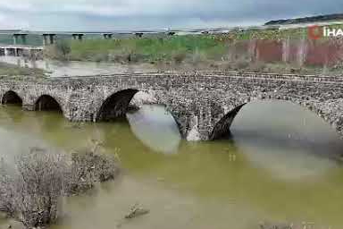 Diyarbakır'da aşırı yağışlar sonrası suyun geri çekilmesiyle balıklar telef oldu