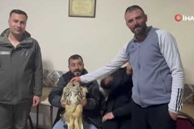 Kars’ta yaralı puhuya şefkat eli