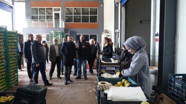 Gürsu tarımında verimlilik artıyor!-Bursa Hayat-2