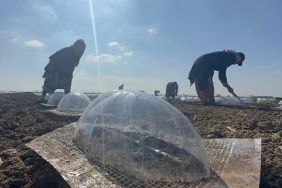Karacabey’de çiftçiler geçen yılı telafi etmek istiyor!
