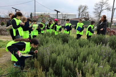 Ürünlü’de öğrenciler tarımı yerinde öğrendi