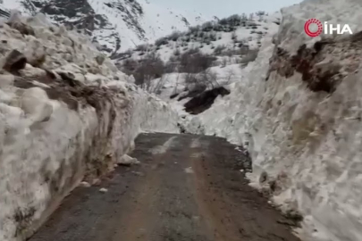 Günler süren çalışma sonrası çığ tünelleriyle yol açıldı!