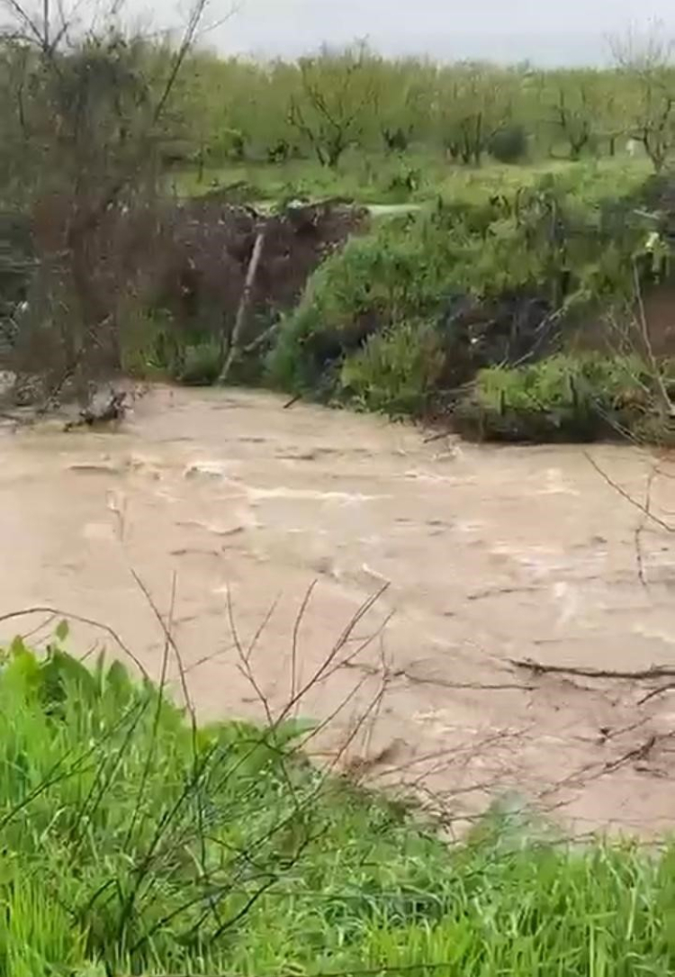 Kuraklık sonrası gelen yağış İznik’i kahverengiye boyadı!-Bursa Hayat-2