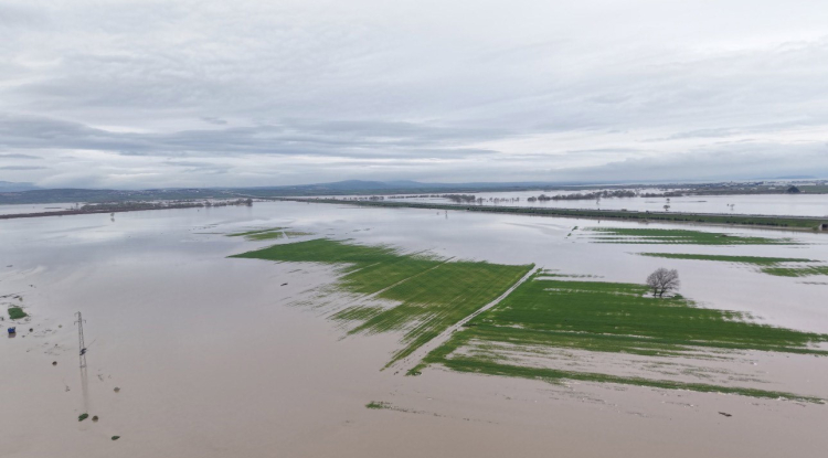 Bursa’da taşkın felaketi: Çiftçiler zararda!-Bursa Hayat-2