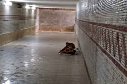 Binlerce Bursalı her gün buradan geçiyor: Bakımsızlık ve karanlık isyan ettirdi