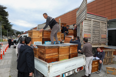 Bursa’da arıcılık seferberliği: 750 yeni kovan üreticilere teslim edildi