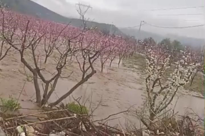 Kuraklık sonrası gelen yağış İznik’i kahverengiye boyadı!