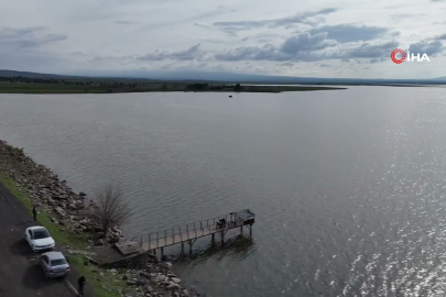 Devegeçidi Barajı ekosisteme can suyu oldu!