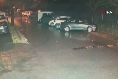 İstanbul’da domuzlar şehir merkezine yaklaştı!