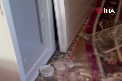 Kadırga Yaylası’nda ayılar evleri savaş alanına çevirdi!