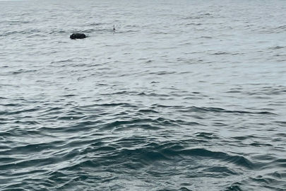 İğneada’da mayın operasyonu! İmha edildi