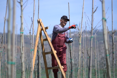 Kestel’de bahar hazırlıkları aralıksız devam ediyor