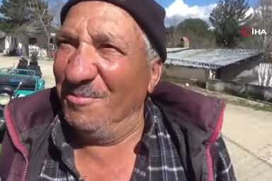 Çanakkale'de dağ köylerinde kuzugöbeği gelir kapısı oldu