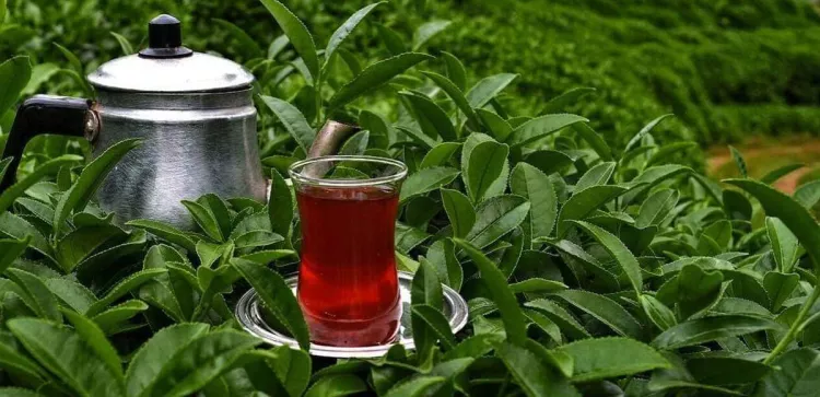 Çay severler dikkat: Fiyatlar bugünden itibaren yükseldi!-Bursa Hayat-2