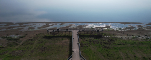 İznik Gölü’nden endişelendiren görüntü!
