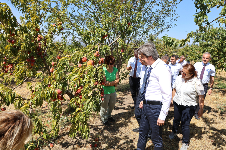 Bursa Uludağ Üniversitesi’nden küresel başarı!-Bursa Hayat-3